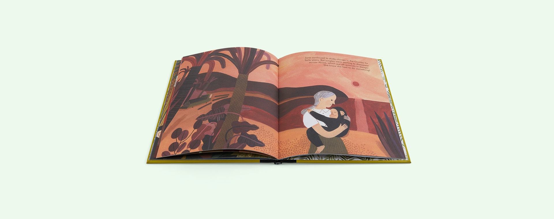Multi bookspeed Little People Big Dreams: Jane Goodall