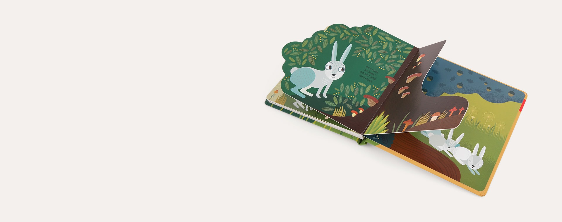 Good Morning Little Hare bookspeed Good Morning Little Hare