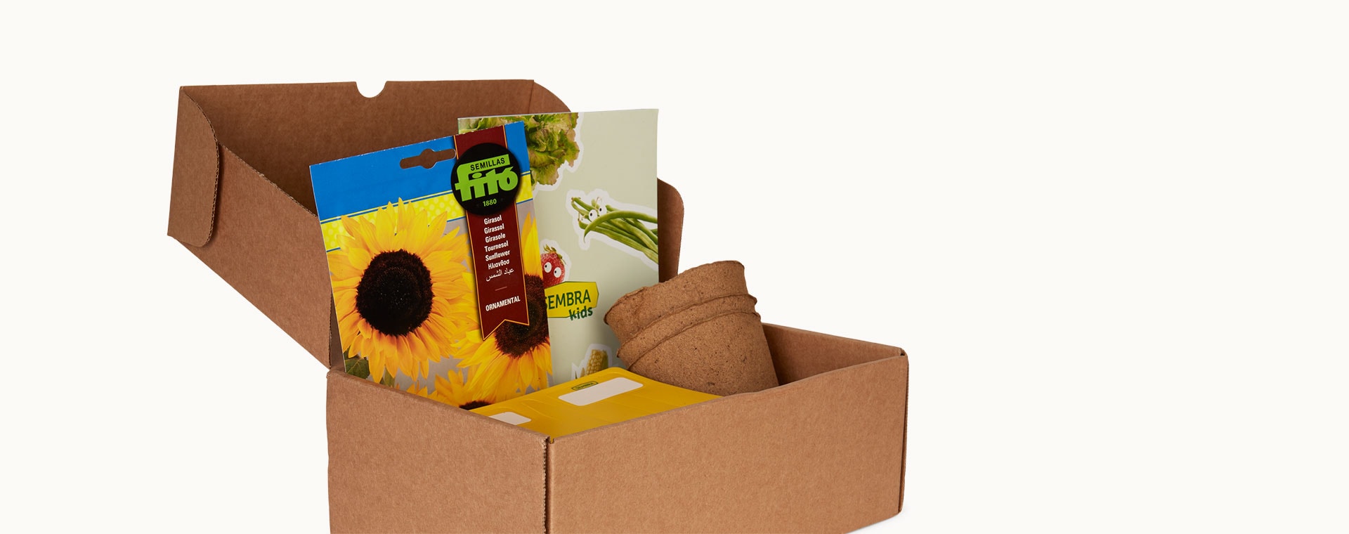 Sunflower Sembra Kids Standard Kit