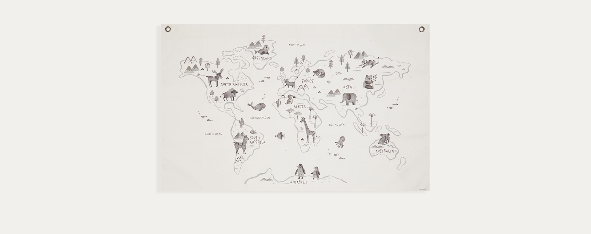 Off White Rose In April The World Map