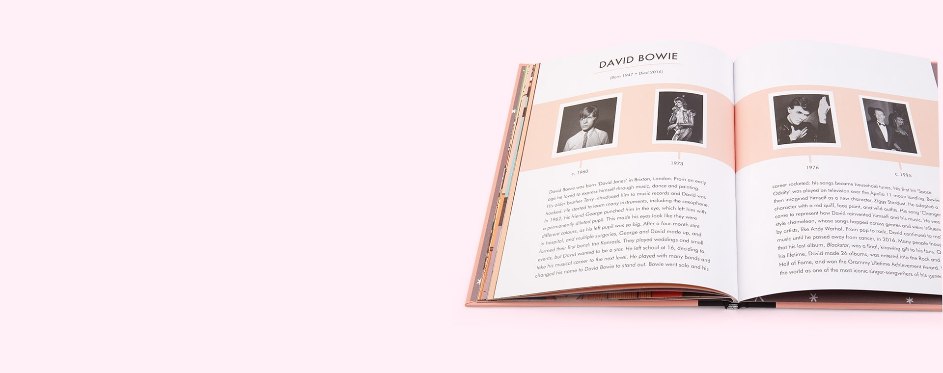 Pink bookspeed Little People Big Dreams David Bowie