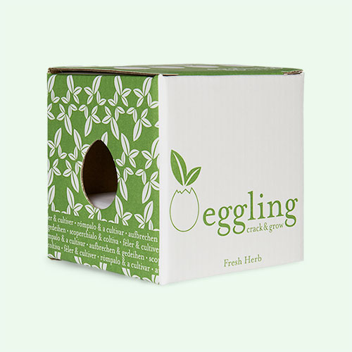 Basil Noted Eggling Crack & Grow