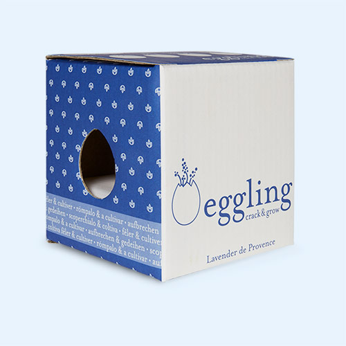 Lavender Noted Eggling Crack & Grow