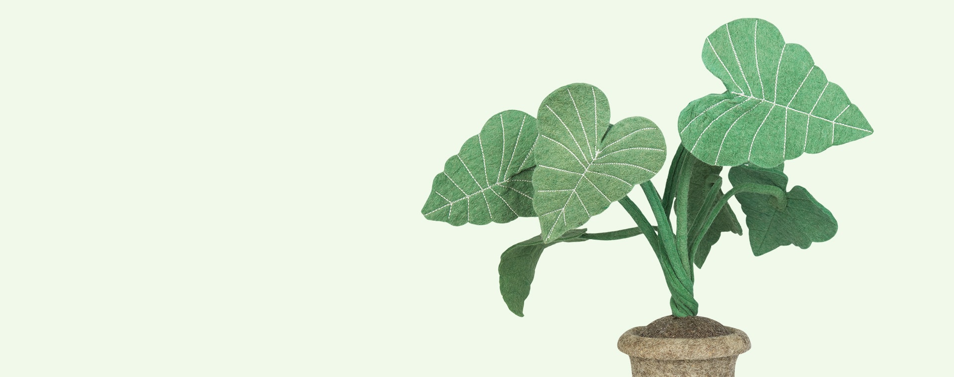 Buy the Kids Depot Alocasia Plant at KIDLY UK
